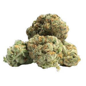 Fleur CBD Ak-47 15 % sans THC Fleur CBD Ak-47 15 % sans THC