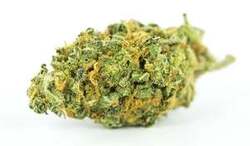 Fleurs CBD Lemon Berry 20 % sans THC – produit légal pour la conduite