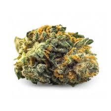 Fleur CBD Ak-47 15 % sans THC