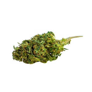Fleur CBD Amnesia 15 % sans THC