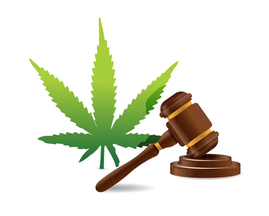 CBD 0 % THC pour conducteurs sécurité