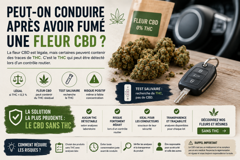 Contrôle routier après consommation de fleur CBD