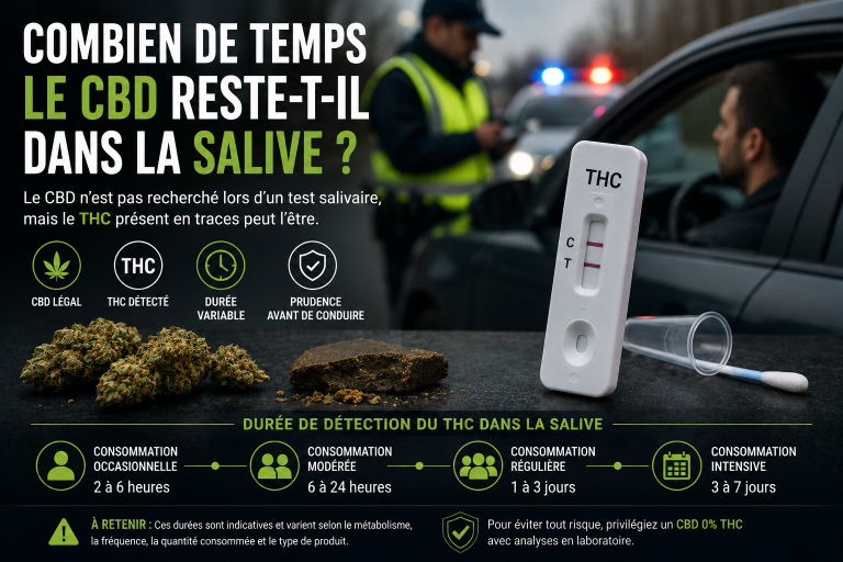 Test salivaire après consommation de CBD lors d’un contrôle routier